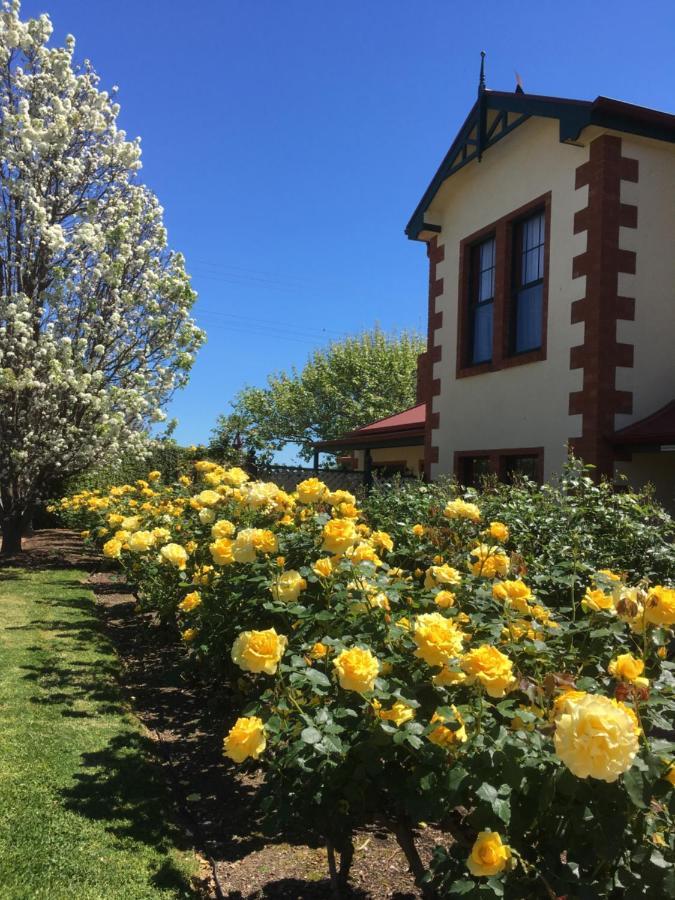Wine&Roses Bed&Breakfast Adelaide Exterior foto